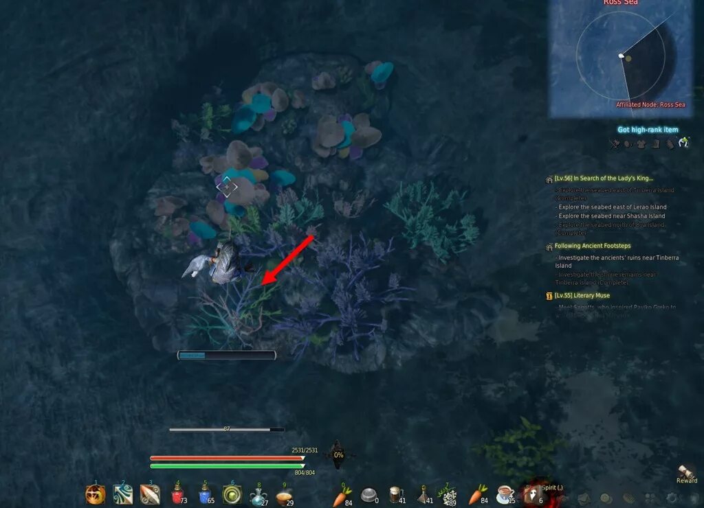 Синий коралл бдо. Синий коралл бдо. Пятнистый коралл бдо. Black desert око окиллу. Коралл бдо.