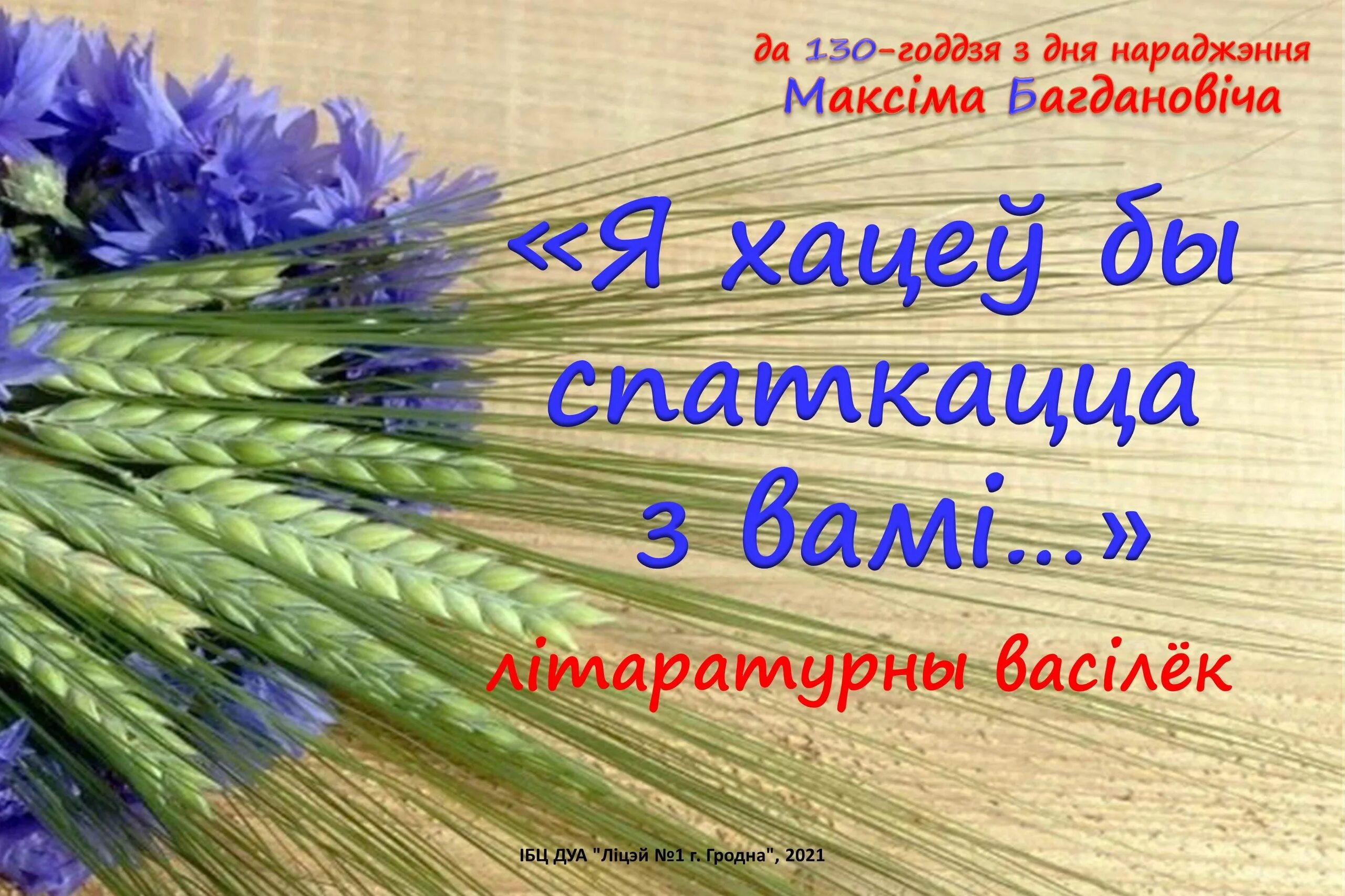 Стихи про беларусь на белорусском. Навошта каласы калі няма васількоў. Василек волошка. Василек. Навошта каласы калі няма васількоў.