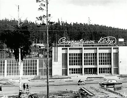 Кинонейва