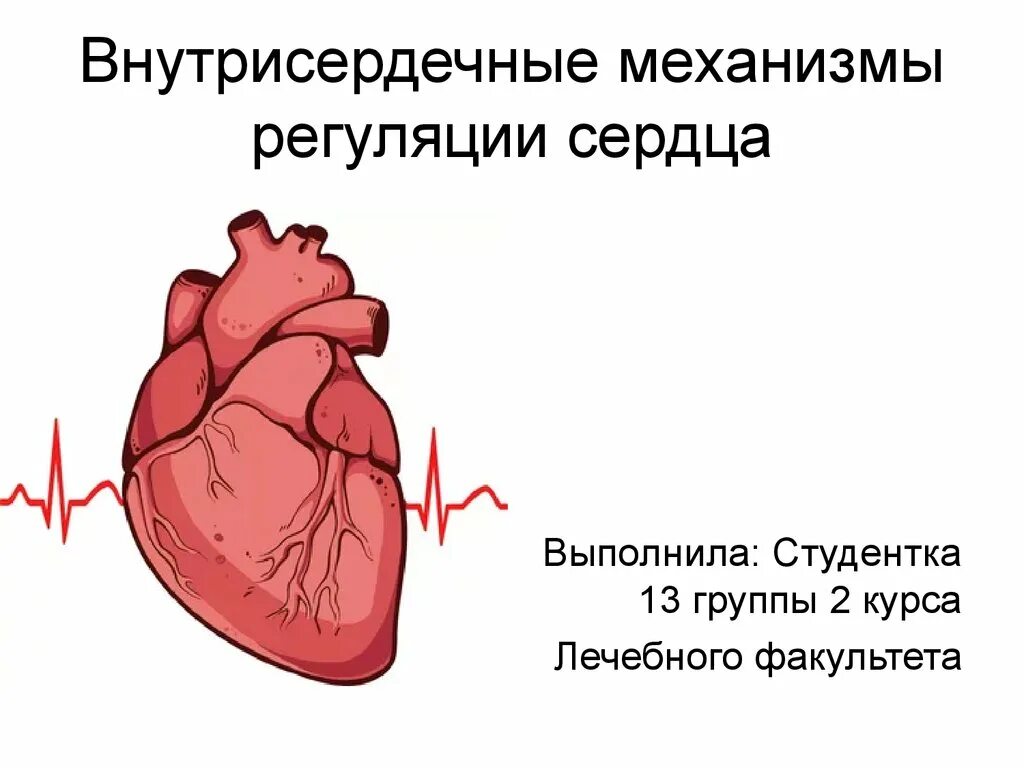 Интракардиальные механизмы регуляции. Интракардиальные механизмы регуляции сердца. Внутрисердечные механизмы регуляции сердца. Внутрисердечные периферические рефлексы сердца. Вегетация сердца