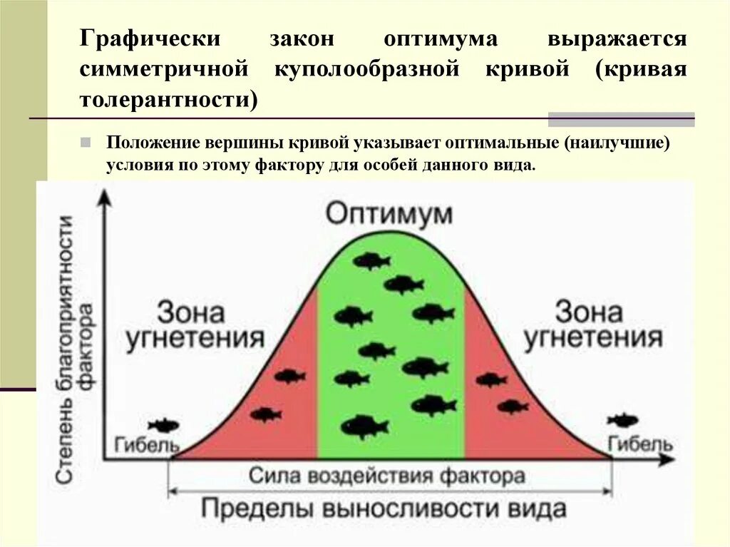 Закон оптимума биология. Закон оптимума критические точки. Зона оптимума. Закон оптимума и пессимума. Закон оптимума экология.