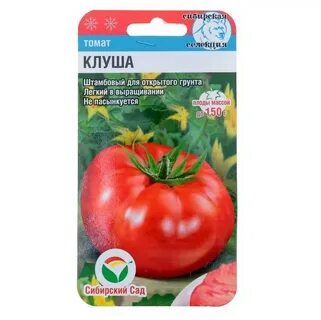 Сорт томатов клуша характеристика
