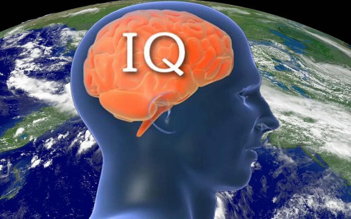 Iq картинки. IQ фото. Самый короткий тест на IQ. Шейн Фредерик тест на IQ. Ребенок с высоким IQ.