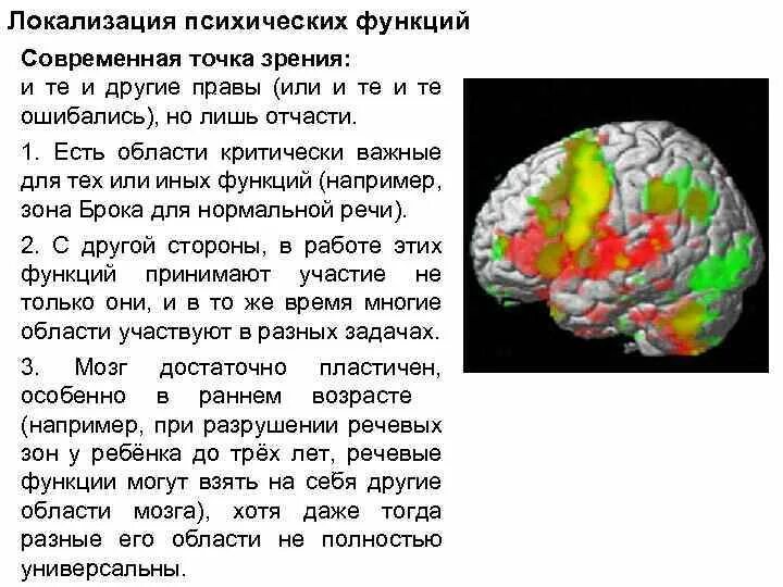 Локализация психических функций. Локализация психических функций в головном мозге. Когнитивные функции локализация. Локализация психических функций в коре головного мозга человека. Локализация психических функций в мозге