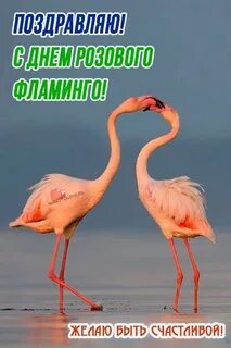 Розов день