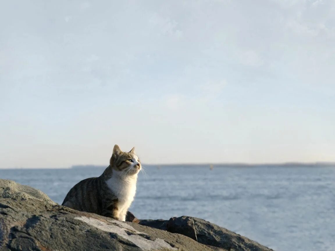 Настроение море. Фотосессия в цветах. Я жду лето. Скоро лето. Жду лето.