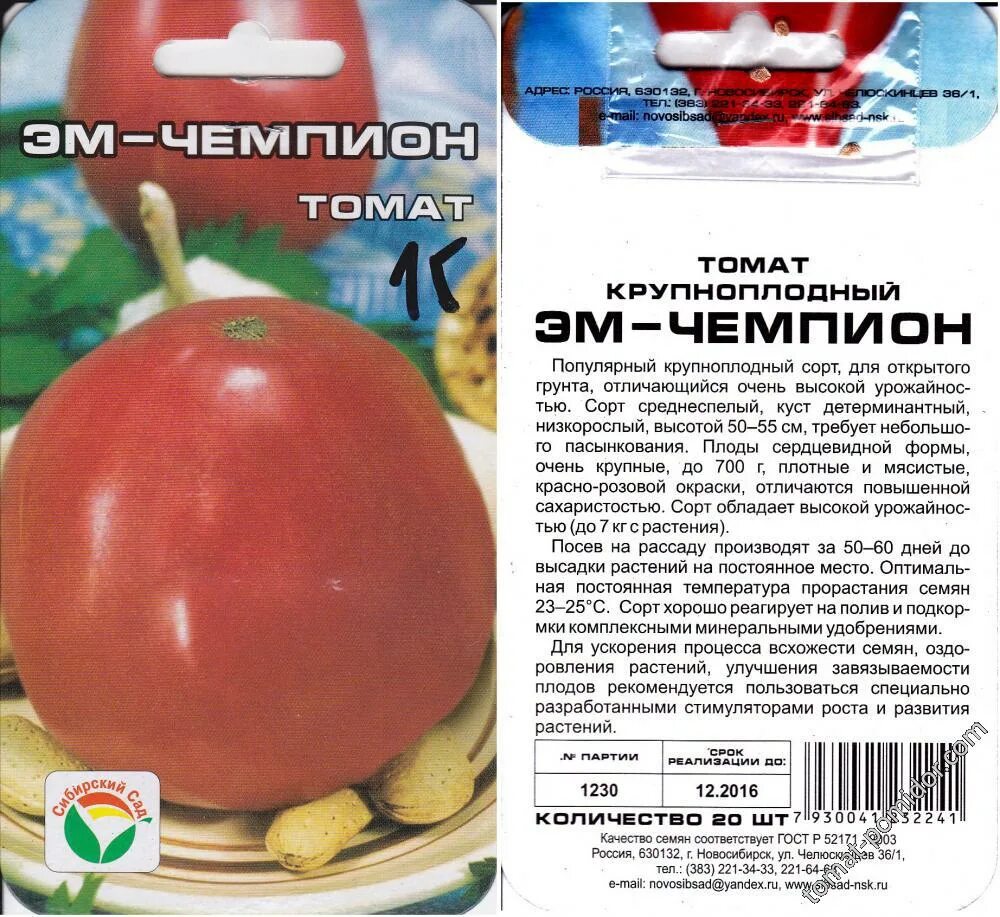 Томат эм чемпион Сибирский сад. Томат красный чемпион f1. Томат красный чемпион f1 СЕДЕК. Сорт томатов «эм-чемпион».. Томат штамбовый король отзывы фото урожайность характеристика