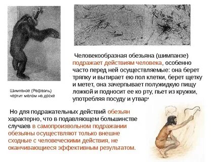 Имитирующие действия