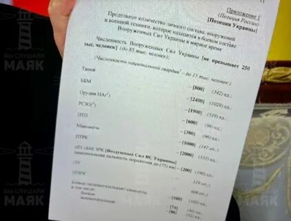 Содержание стамбульских договоренностей