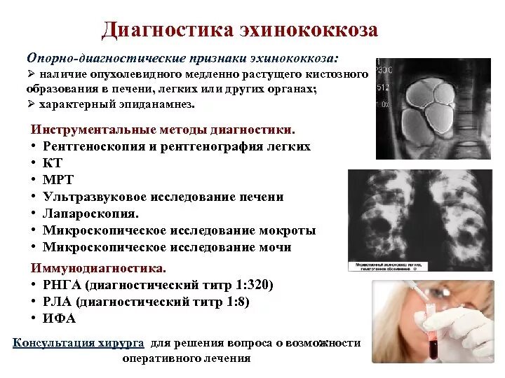 Эхинококк методы диагностики. Методы диагностики эхинококкоза. Микробиологическая диагностика эхинококкоза. Диагностическая стадия эхинококка.