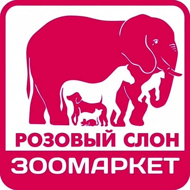 Розовый слон. Розовый слон Хабаровск. Розовый слон магазин. Зоомагазин розовый слон. Магазин слоник