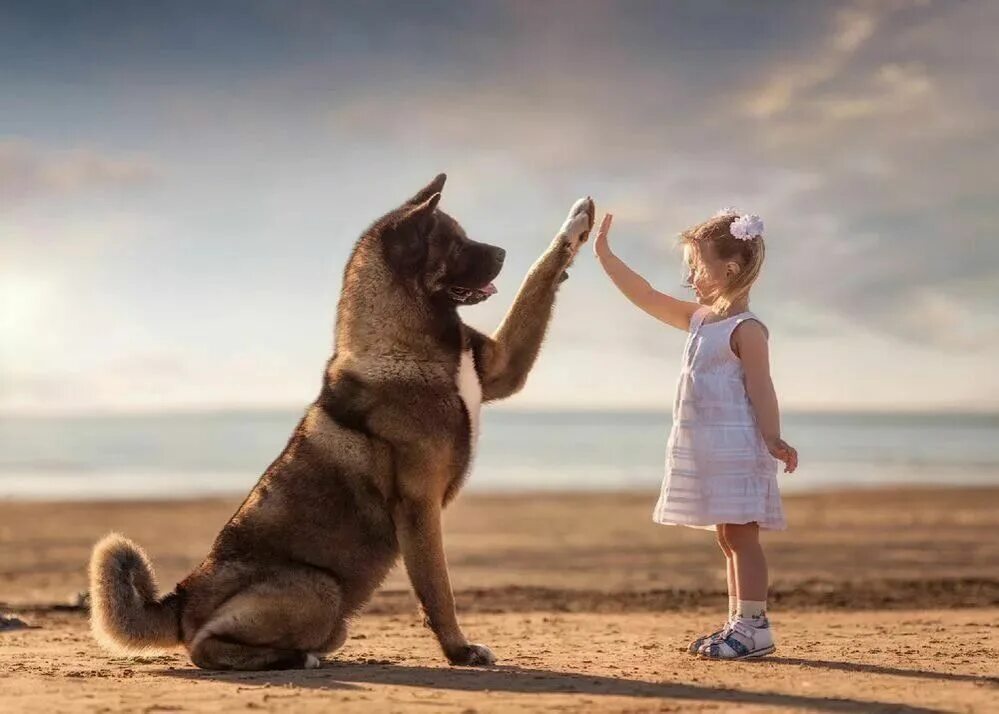 Baby pet. Собака друг человека. Собака для детей. Дружба собаки и человека. Для детей. Животные.