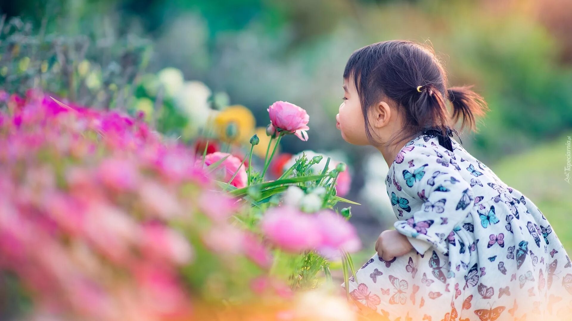 Корейские дети. Корейские дети природа. Дети с цветами. Красивые корейские дети.