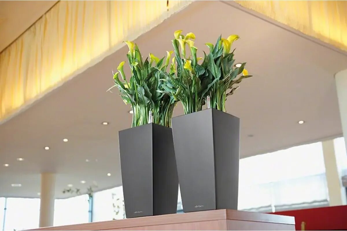 Кашпо cubico color. Lechuza cubico premium. кашпо кубико. кашпо lechuza &quot;cubico color&quot;, с системой автополива, 22 х 22 х 41 см. кашпо lechuza cubico color 22 с автополивом и субстратом pon.