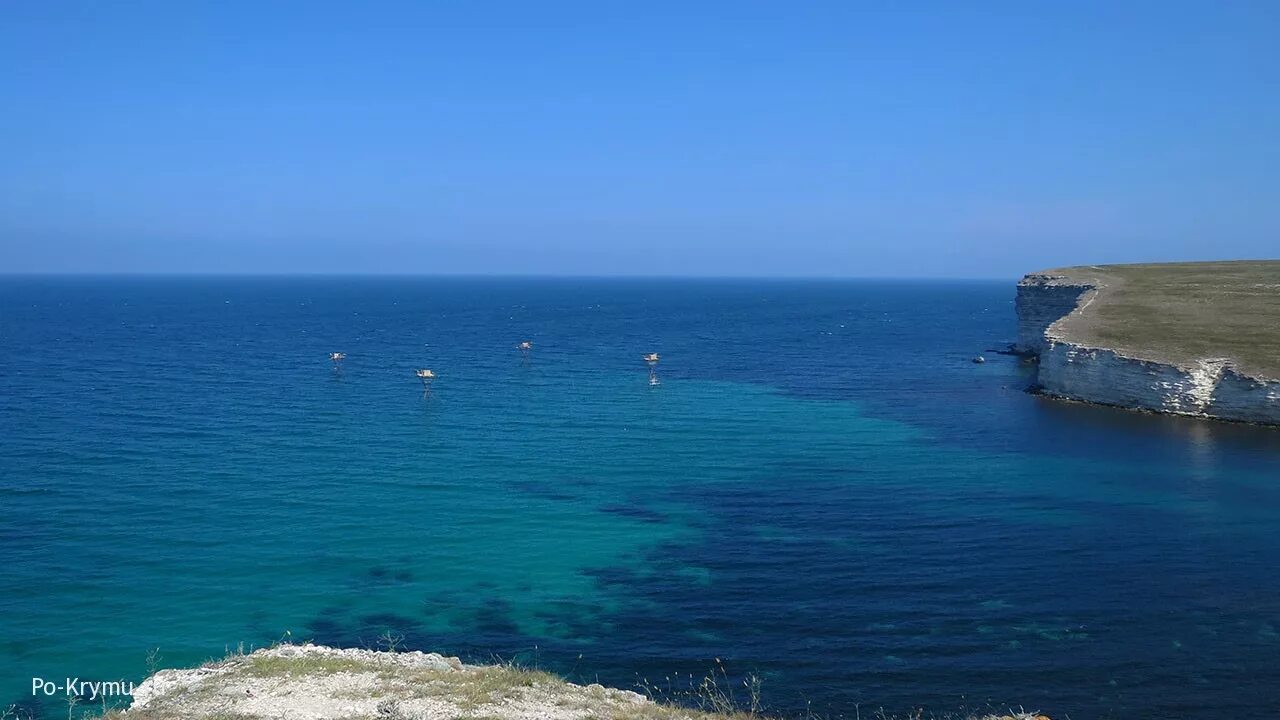 Почему моря разных цветов. Почему моря разных цветов