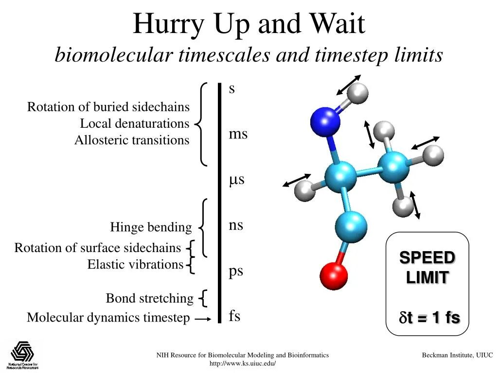 Dynamic method. Molecular Dynamics method. CHARMM молекулярная динамика. Biomolecular. Ovito ,Molecular Dynamics.