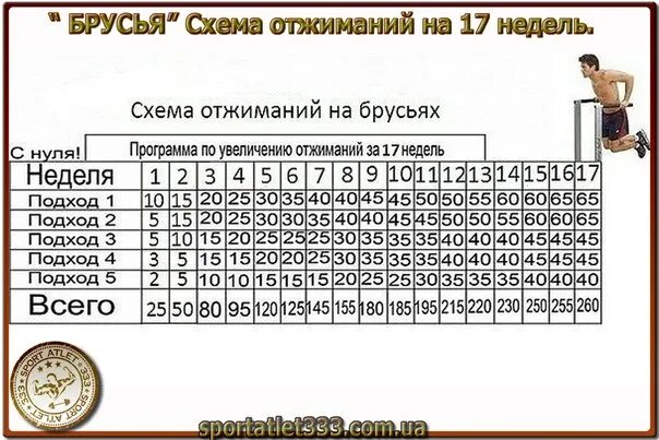 Программа тренировок отжимания на брусьях 30 недель. График отжиманий на брусьях. Схема отжиманий на брусьях. Таблица отжиманий на брусьях. Отжимания сколько подходов делать