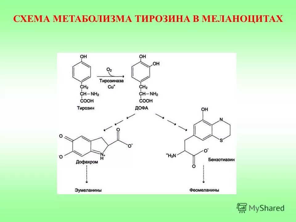 Для чего нужен синтез