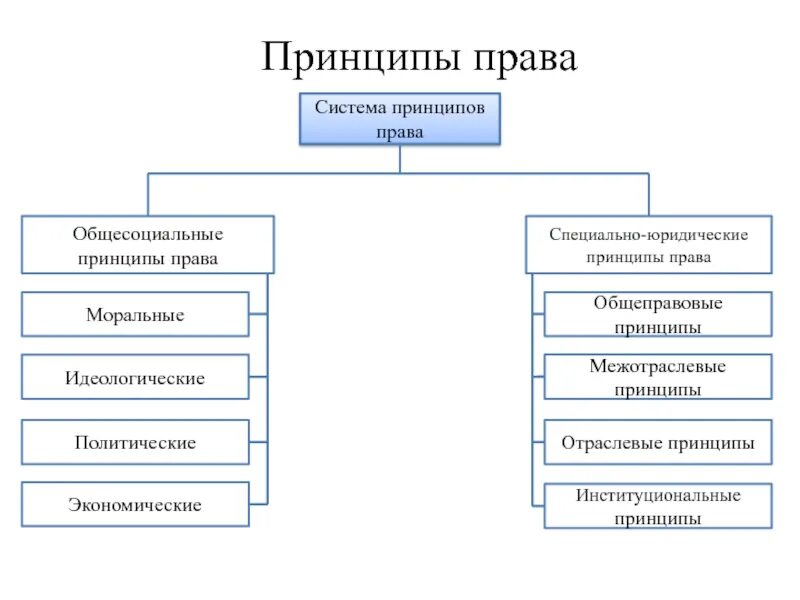 Функции социального обеспечения примеры