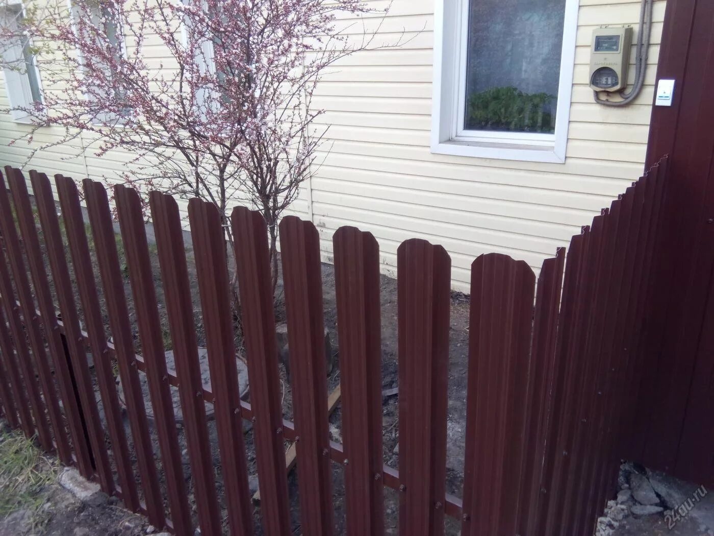 палисадники из евроштакетника. евро штакетник полисадник. штакетник металлический для палисадника. профнастил для палисадника. палисадник из евроштакетника.