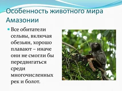 Характеристика обитателей