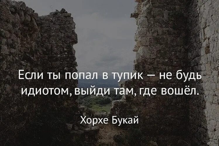 Ничего не выходит в жизни. Тупик цитаты. Афоризмы про тупик. Цитата про выход из ситуации. Цитаты про тупик в жизни.