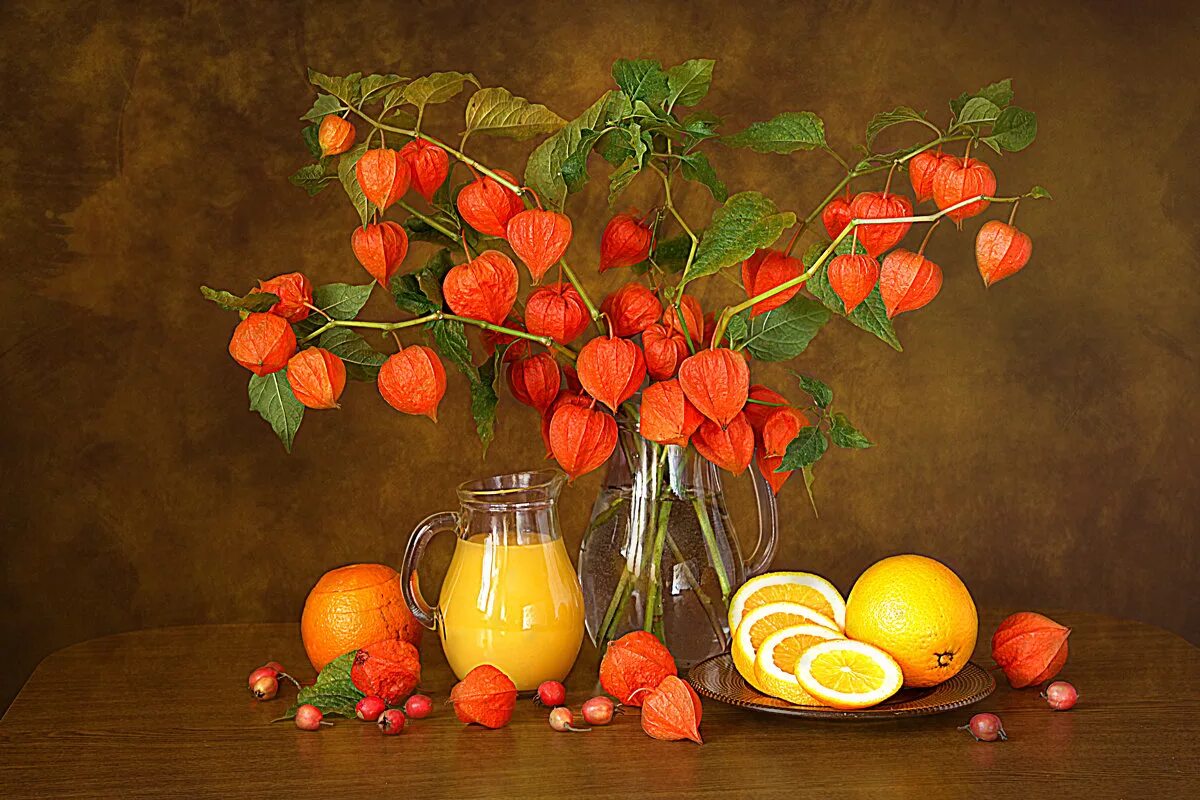 фотонатюрморты с физалисом. натюрморт лунария и физалис. натюрморту ольги седых физалис. физалис яблочный. осенний натюрморт с физалисом.