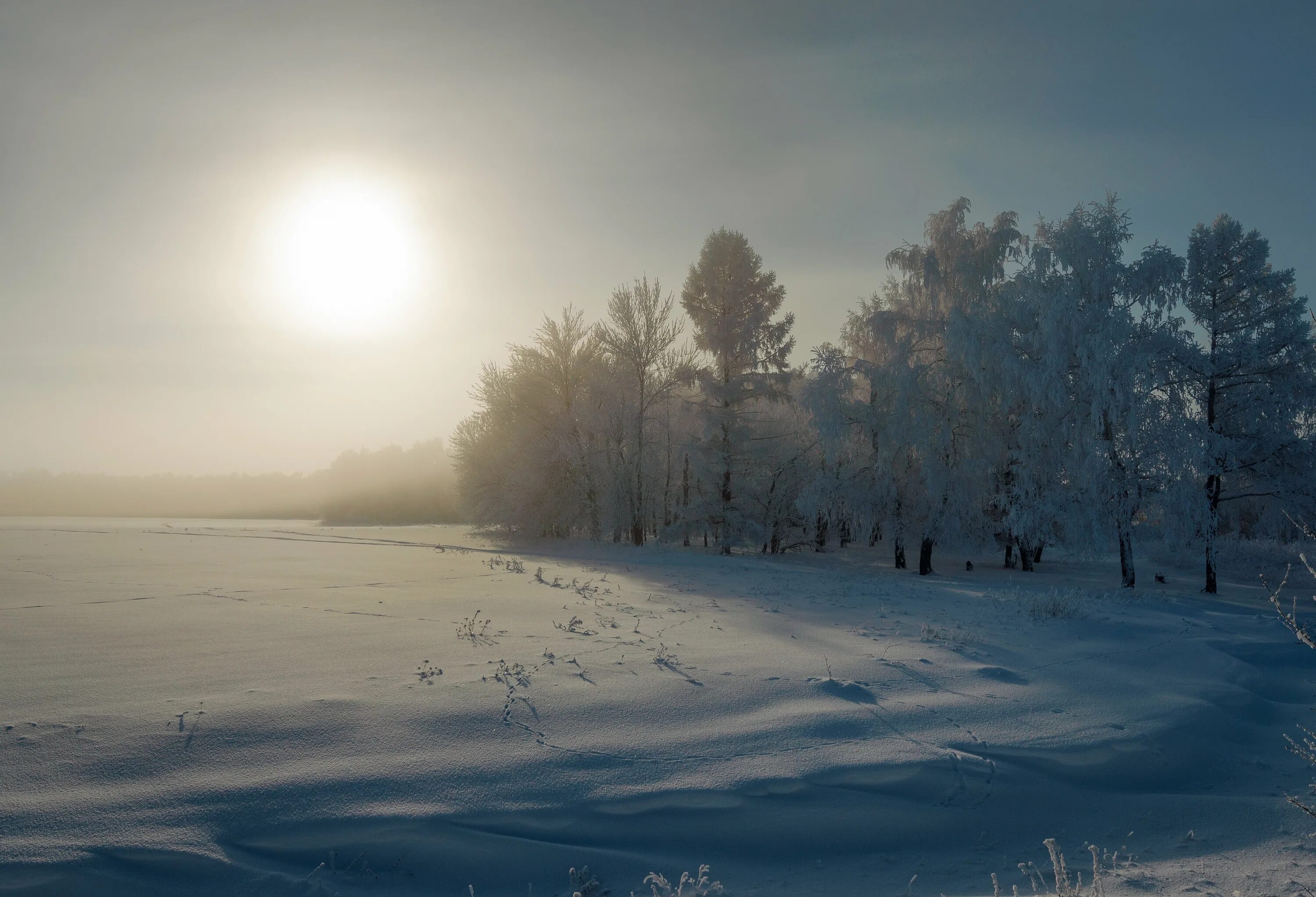 Зимняя стужа. Зимняя стужа. Стужа картинки. Зима фото стужа. Зима стужа.