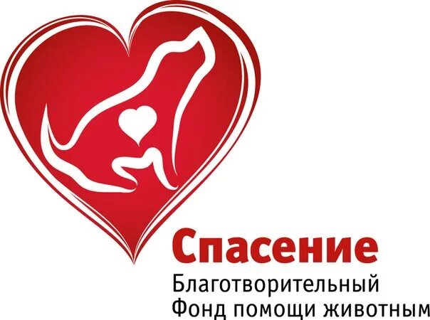 Фонд помощи детям рязань ярмарка спасение. Благотворительный фонд. благотворительные фонды россии. благотворительные организации в россии. благотворительность фонд.