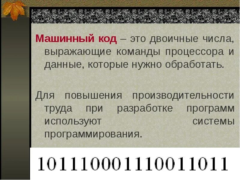 Как переводить в машинный код. Машинный код. Машинные коды. Образец машинного кода. Машинный код процессора.