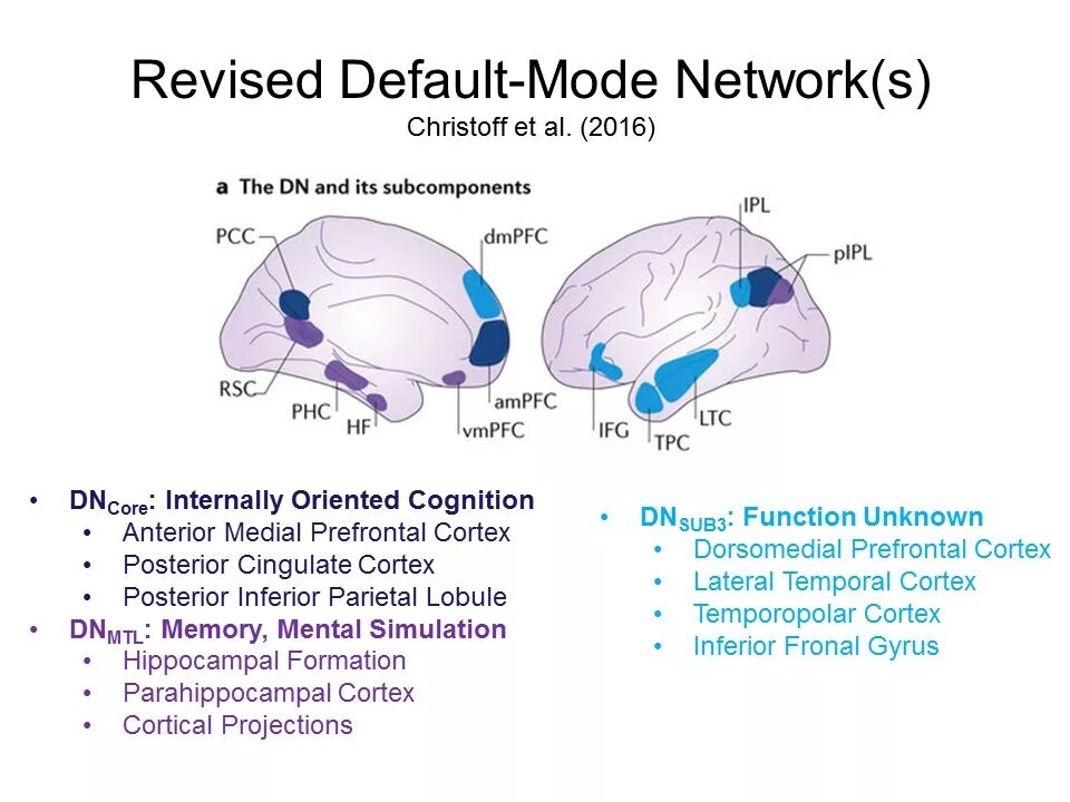Default scale. Default Mode Network. ДСМ система мозга. Дефолт система мозга. DMN default Mode Network.