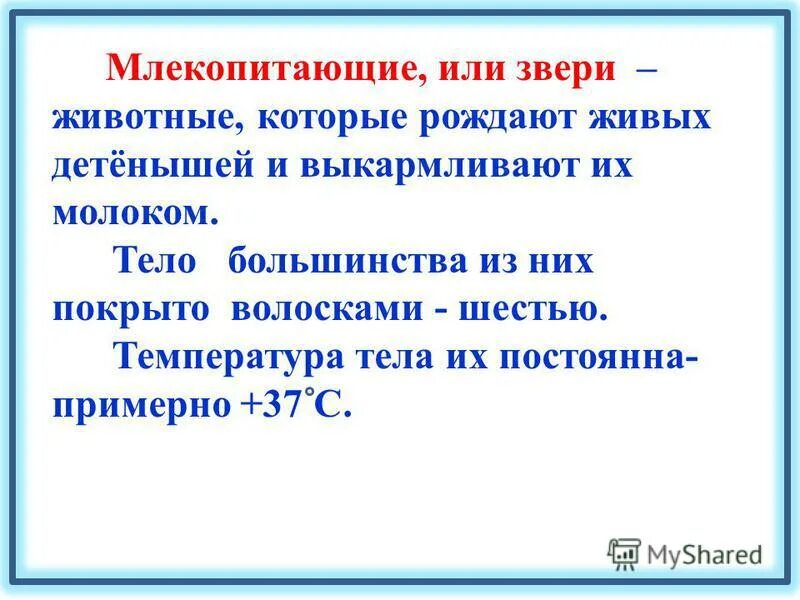 Какая температура тела у млекопитающих. Теплокровные млекопитающие. Какая температура тела у млекопитающих. Какая температура у млекопитающих. Минимальная температура тела млекопитающих.