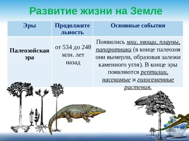 Периоды палеозойской эры основные события. Палеозойская Эра Продолжительность и основные события. Плауны Палеозойская Эра. Палеозой периоды таблица.