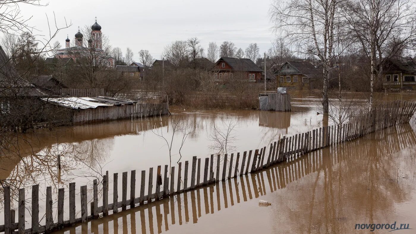 Погода в крестцах новгородской области на 10