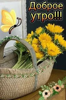 Пятница утро август картинки