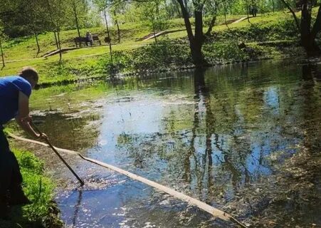 Состоянием водоема