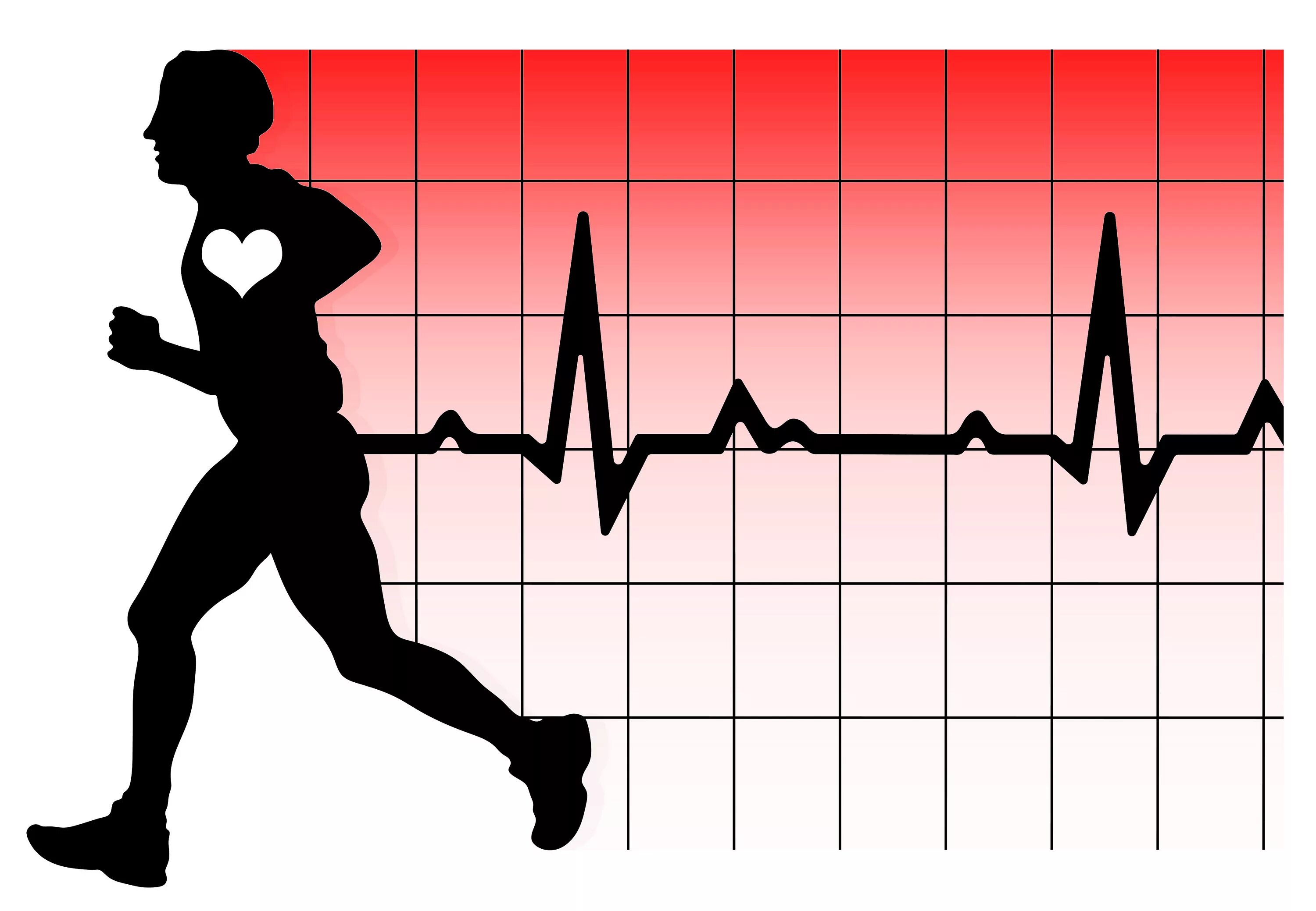 Сильно повышается пульс. Диаграмма пульса. Нагрузка на сердце. Сердце и физические нагрузки. Пульс рисунок.