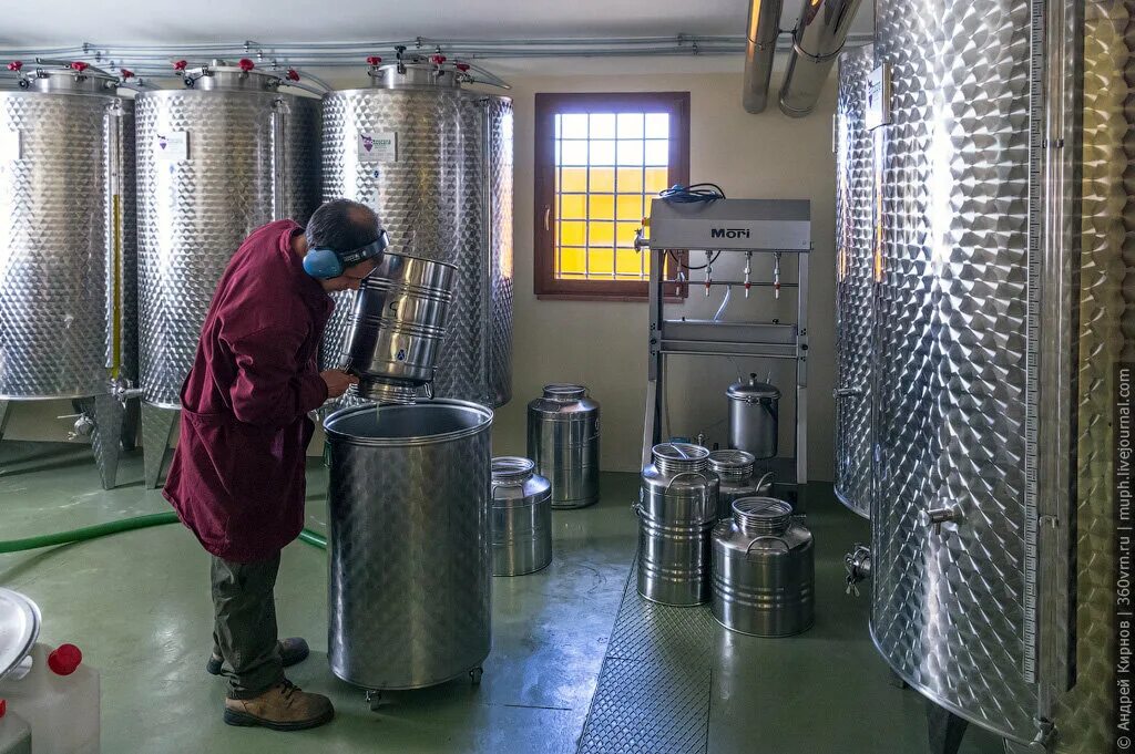 Производство оливкового масла. Завод оливкового масла. Производство оливок. Оборудование для производства оливкового масла.