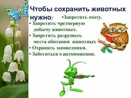 Животные занесенные в красную книгу республики татарстан