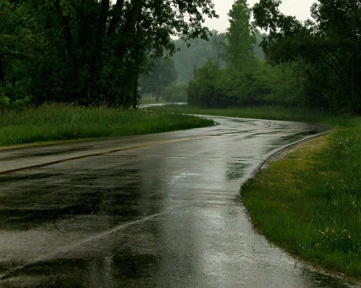 Дождь в дорогу примета. Природа дождь. Летний пасмурный пейзаж. Летняя дорога. Пасмурный день.