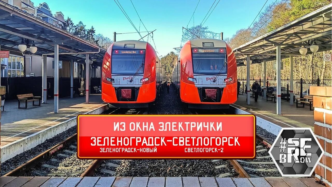 Ласточка электропоезд. Электричка Ласточка. Ласточка Зеленоградск. Светлогорск Зеленоградск электричка.