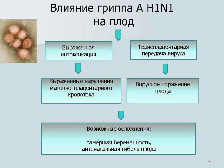 Действие вируса гриппа. Влияние ОРВИ на плод. Влияние гриппа на беременность. Влияние гриппа на беременность и плод. Грипп влияние на плод при беременности.