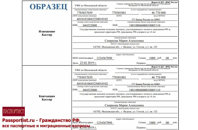 Мвд оплатить госпошлину