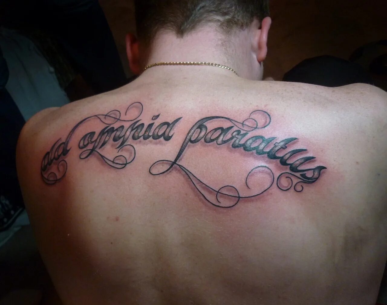 тату надписи на латыни фото. божий на латыни. тату на латыни на груди. тату надписи с переводом. красивые надписи для тату.