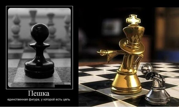 Будешь сильным и большим будешь королем. Шахматы "пешка". Пешка ферзь. Король в шахматах. Шахматная фигура пешка.