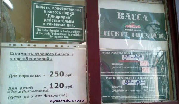 Дендрарий сочи режим работы. Дендрарий сочи билеты. билет в дендрарий. график работы дендрария. дендрарий режим работы.