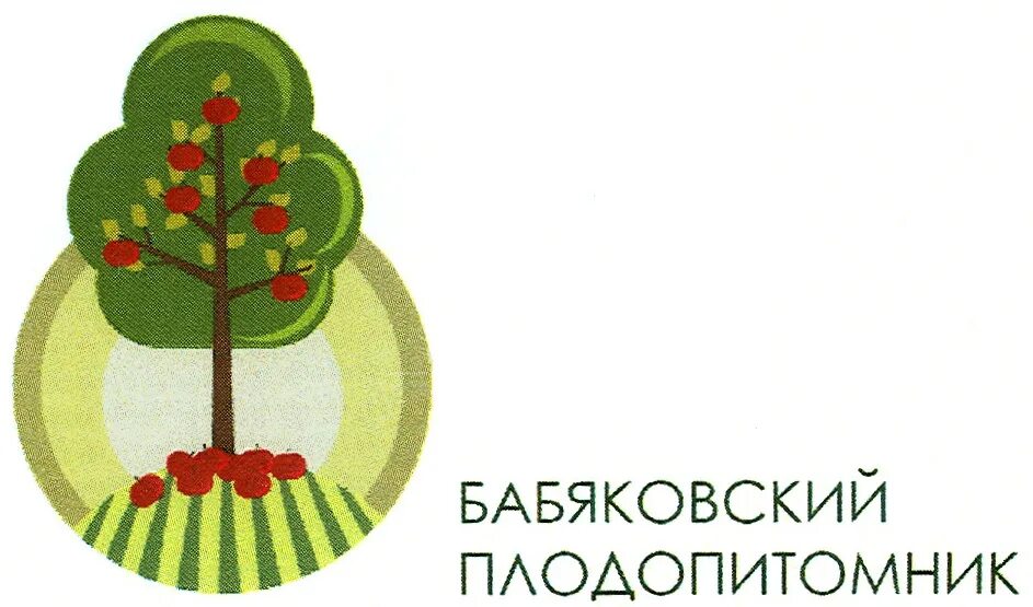 Саженцы бабяковского плодопитомника цены. Бабяковский Плодопитомник. Воронежская обл Бабяковский Плодопитомник. Курская трасса Бабяковский Плодопитомник. Плодопитомник Бабяково Воронеж.