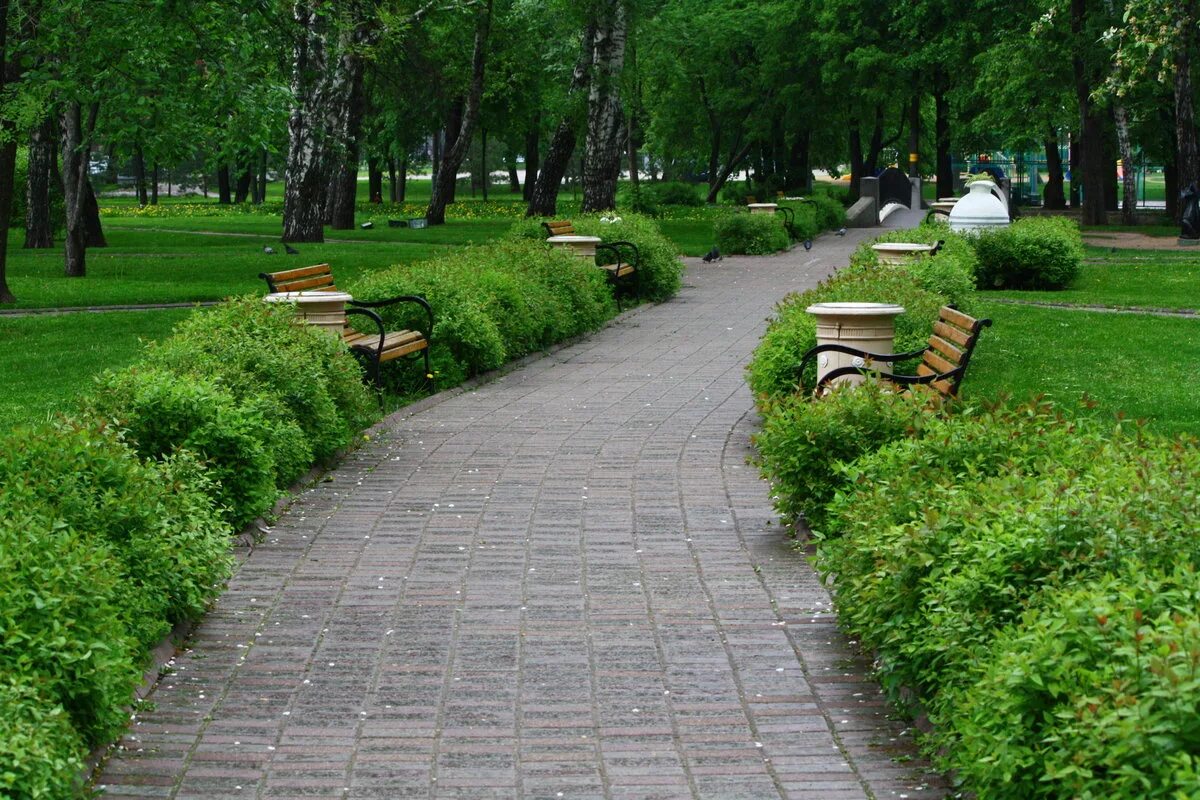 Городские зеленые зоны. Сквер Горсад Белгород. Озеленение парка Березовая аллея. Парки аллеи Омск. Мощение в парке Горького.