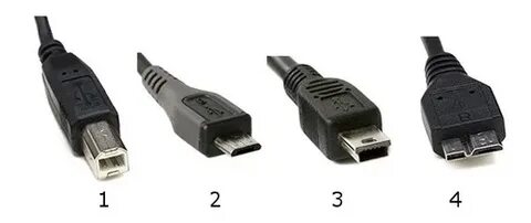 Моншадағы орыс балапандарын қараңыз