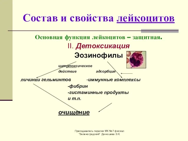 1 функции лейкоцитов. Функции лейкоцитов в крови. Функции лейкоцитов иммунология. Основ функция лейкоцитов. Лейкоциты эозинофилы функции.